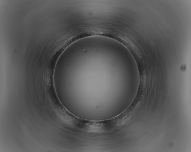 X0000091590359200708201235