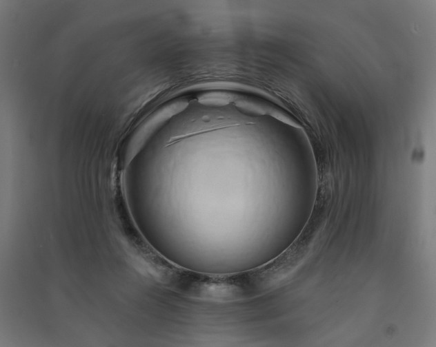 X0000091590360200708201235