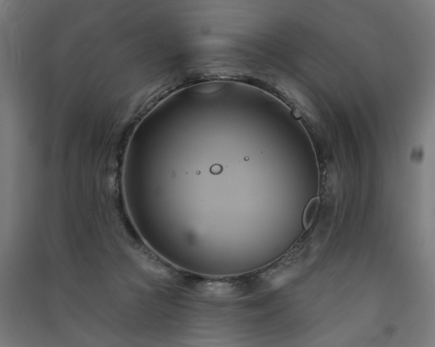 X0000091590361200708201235