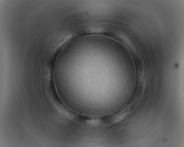 X0000091590362200708201235