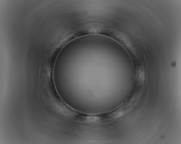 X0000091590363200708201235