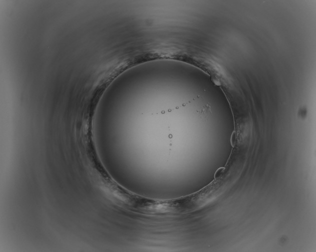 X0000091590365200708201235