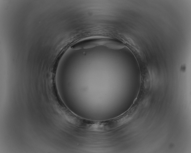 X0000091590366200708201235
