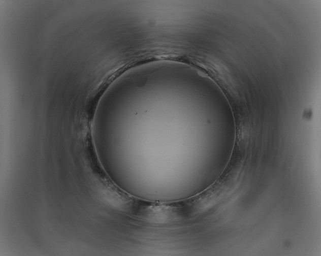 X0000091590367200708201235