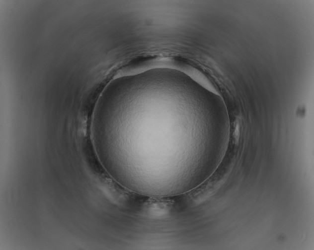 X0000091590368200708201235