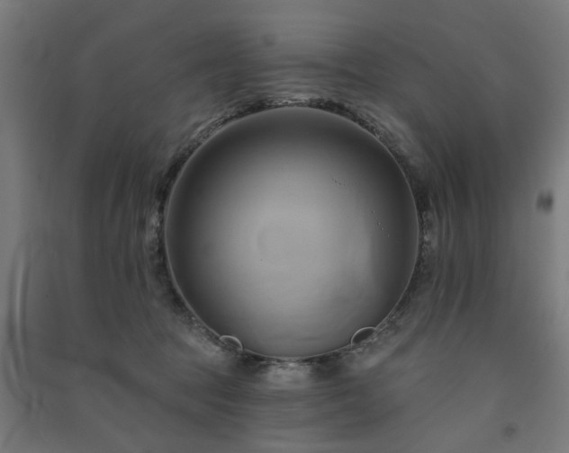 X0000091590369200708201235