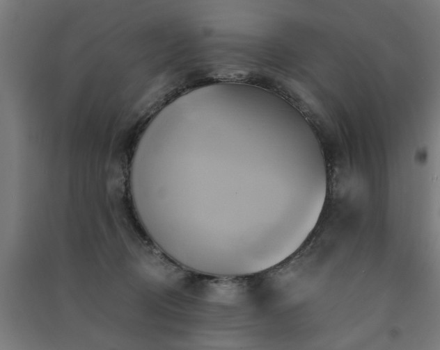 X0000091590370200708201235