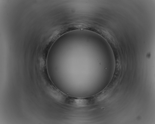 X0000091590371200708201235