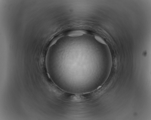 X0000091590372200708201235