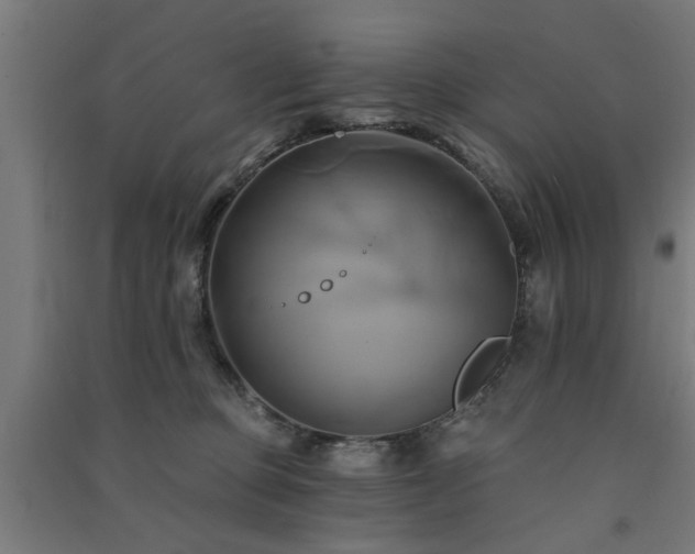 X0000091590373200708201235