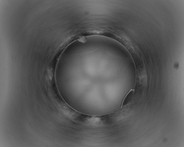 X0000091590374200708201235
