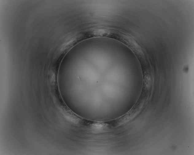 X0000091590375200708201235