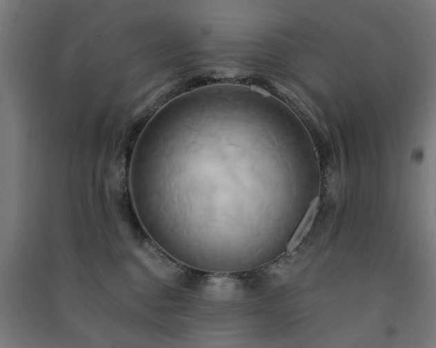 X0000091590376200708201235