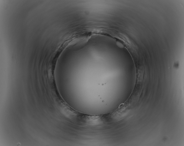 X0000091590377200708201235