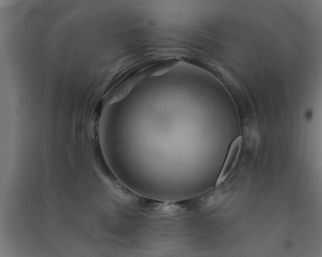 X0000091590379200708201235