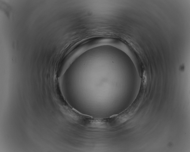 X0000091590380200708201235