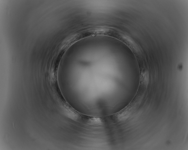 X0000091590381200708201235