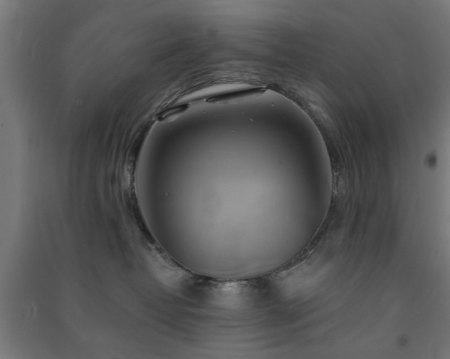 X0000091590382200708201235