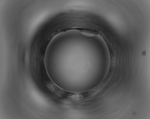 X0000091590383200708201235