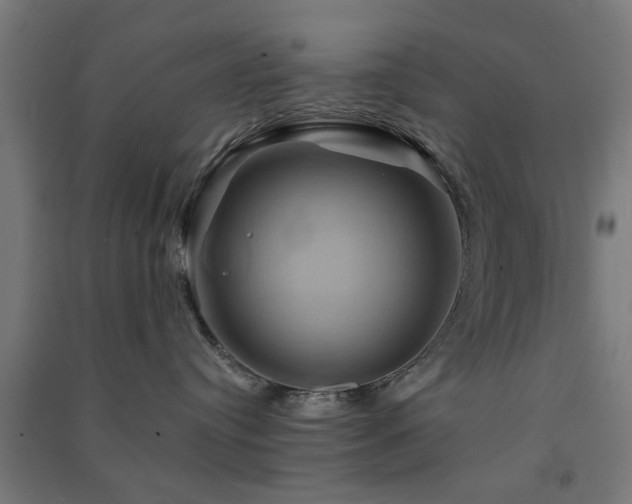 X0000091590384200708201235