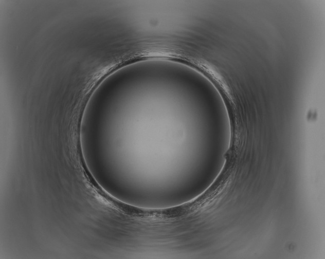 X0000091590385200708201234