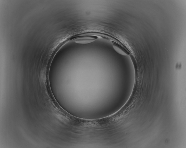 X0000091590386200708201234