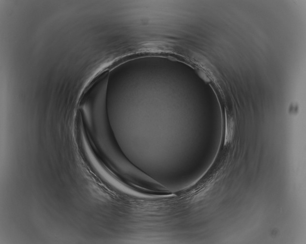 X0000091590387200708201234