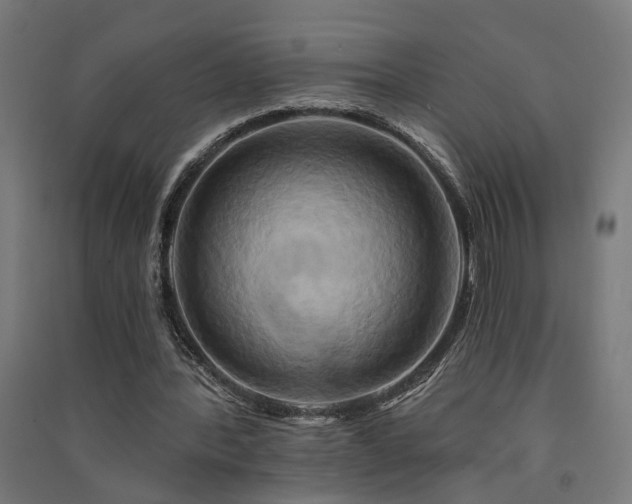 X0000091590388200708201234