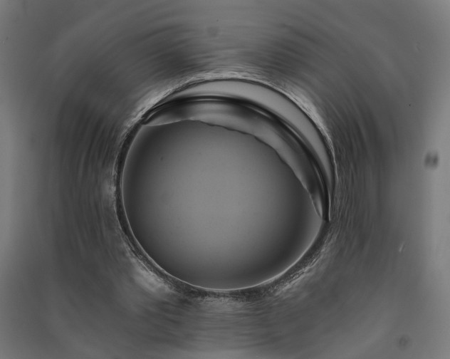 X0000091590389200708201234
