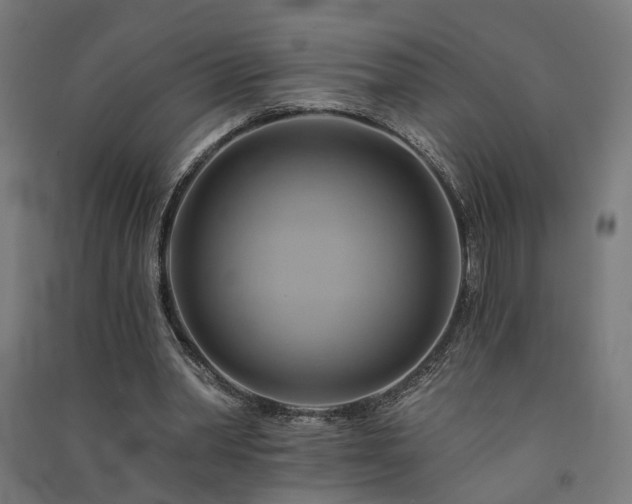 X0000091590390200708201234