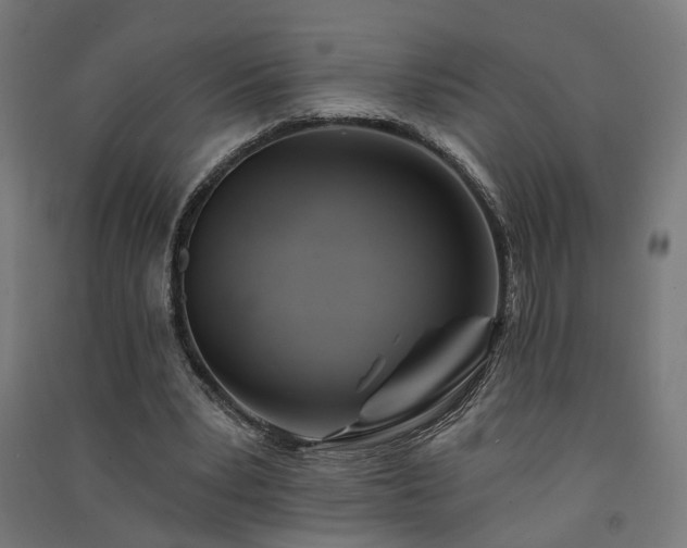 X0000091590391200708201234
