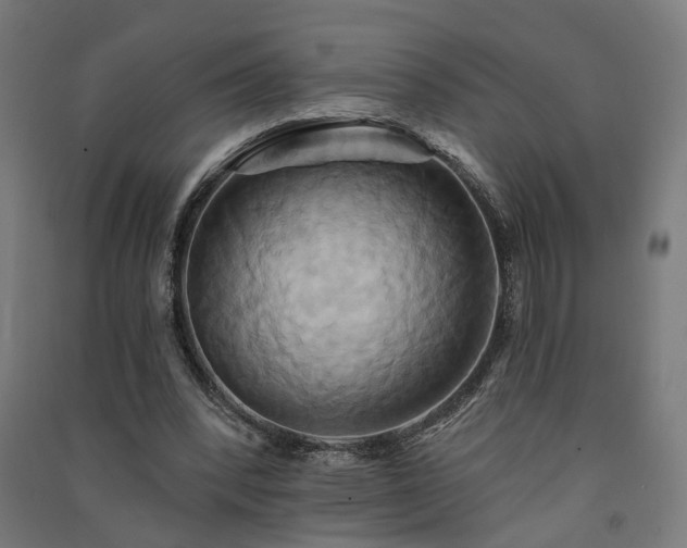 X0000091590392200708201234