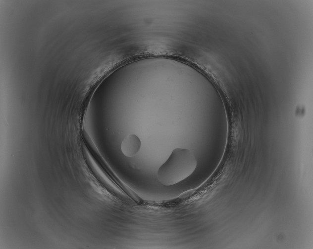 X0000091590393200708201234