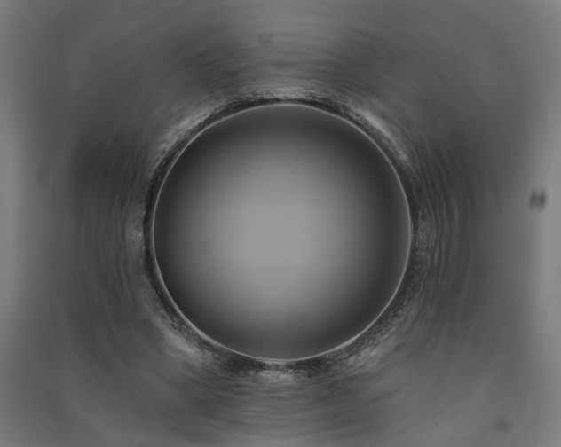 X0000091590394200708201234