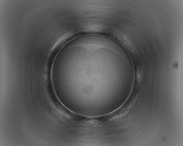 X0000091590396200708201234