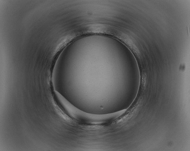 X0000091590397200708201234