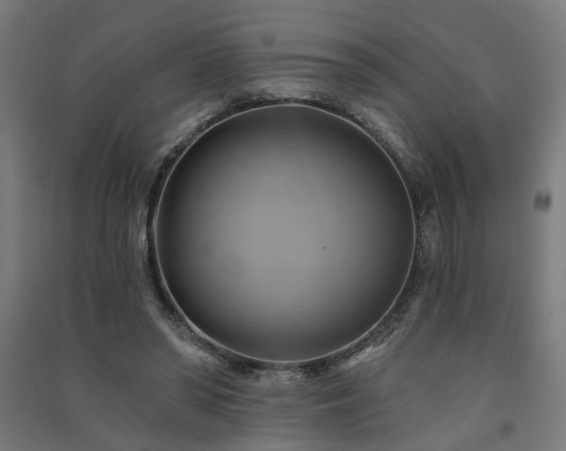 X0000091590398200708201234