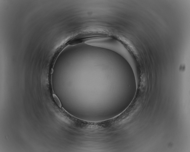 X0000091590399200708201234