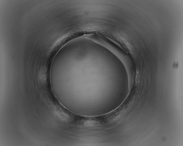 X0000091590400200708201234