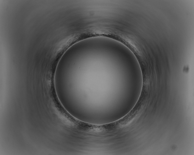 X0000091590402200708201234