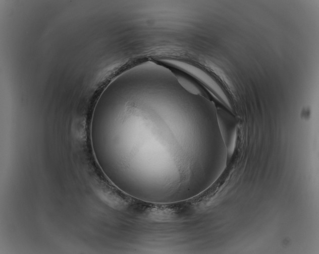 X0000091590403200708201234
