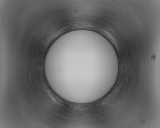 X0000091590405200708201234