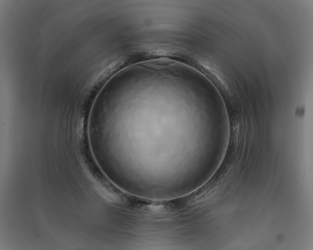 X0000091590406200708201234