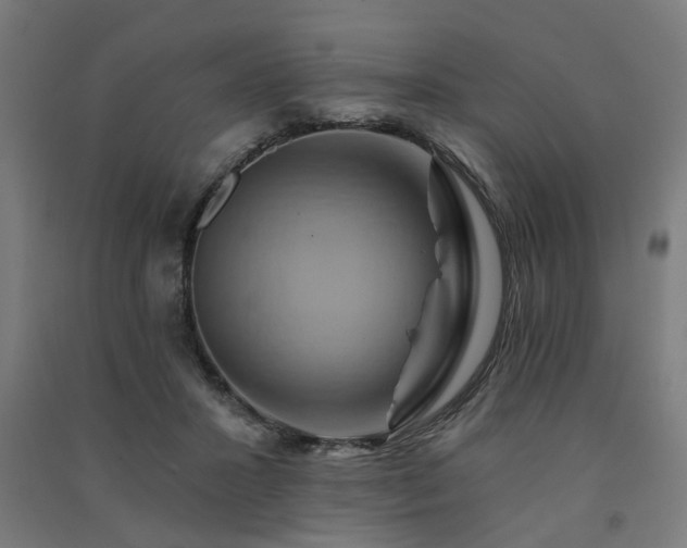X0000091590407200708201234