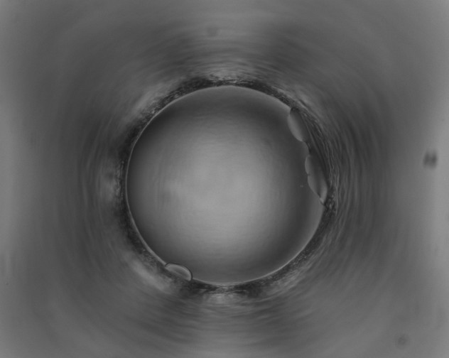 X0000091590408200708201234