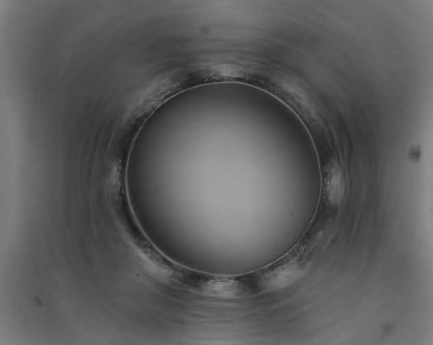X0000091590410200708201234