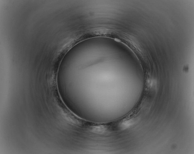 X0000091590411200708201234