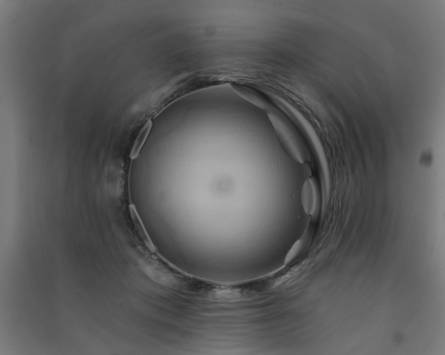 X0000091590413200708201234
