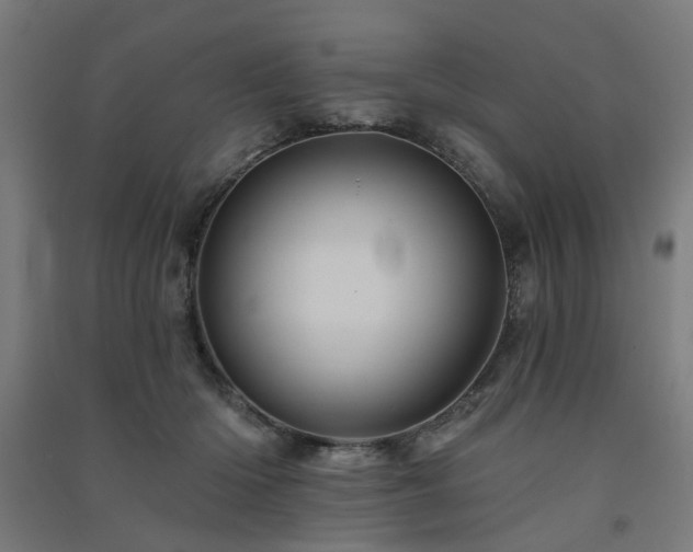 X0000091590414200708201234