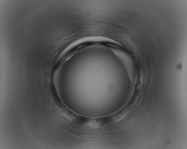 X0000091590416200708201234